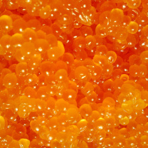 Caviar wallpaper 208x208