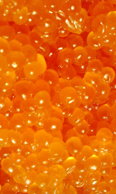 Caviar screenshot #1 240x400