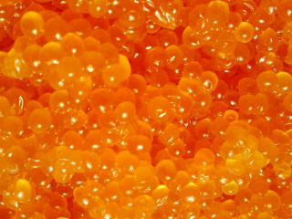 Caviar wallpaper 320x240