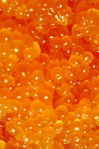 Caviar screenshot #1 320x480