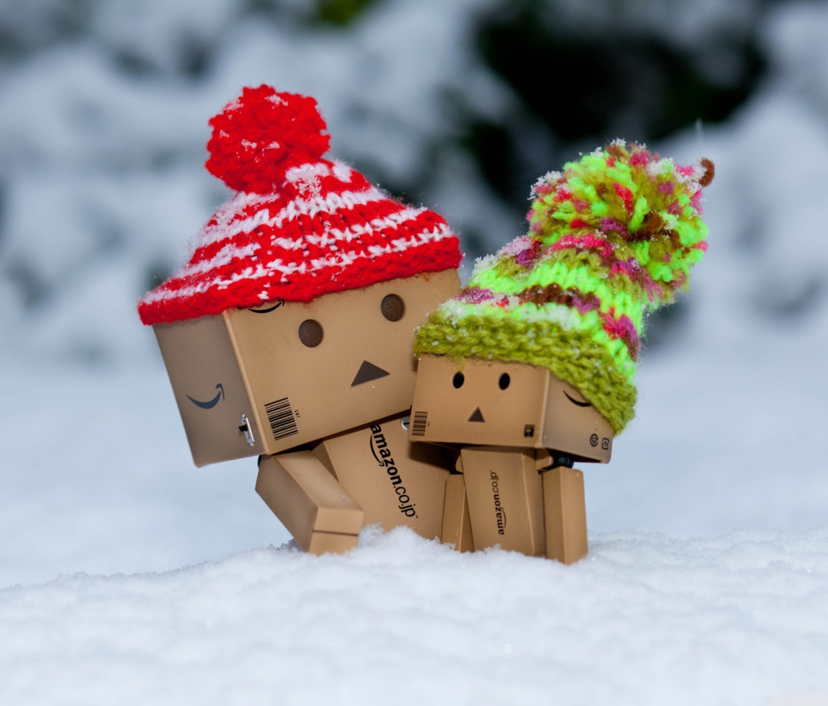 Das Danbo Is Scared By So Much Snow Wallpaper 1200x1024
