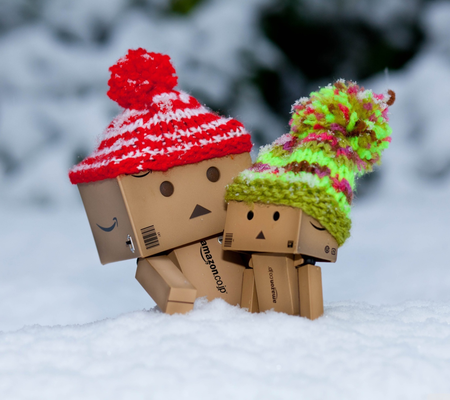 Danbo Is Scared By So Much Snow wallpaper 1440x1280