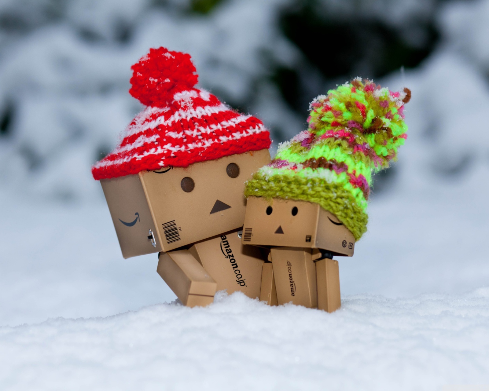 Danbo Is Scared By So Much Snow wallpaper 1600x1280