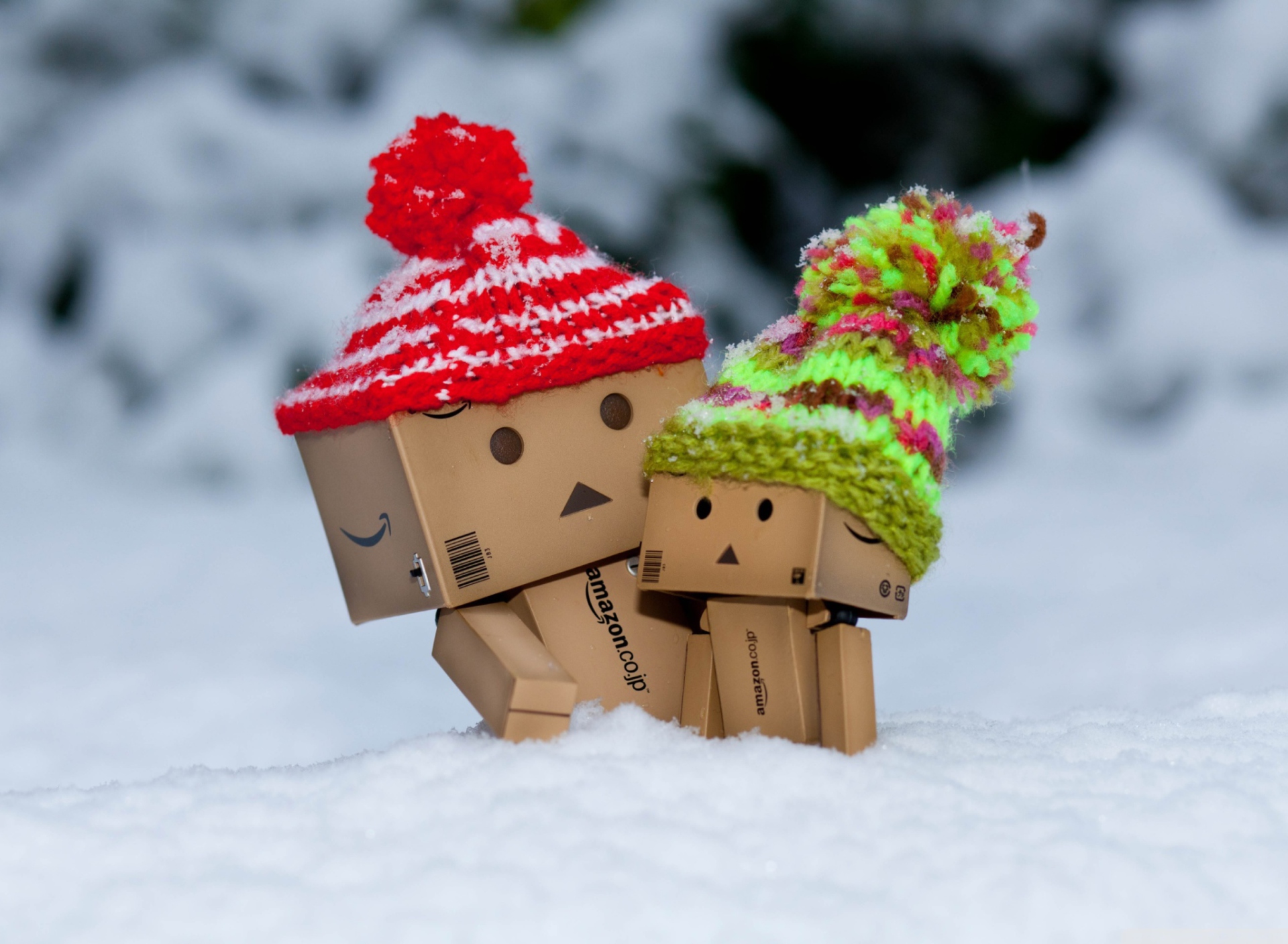 Das Danbo Is Scared By So Much Snow Wallpaper 1920x1408