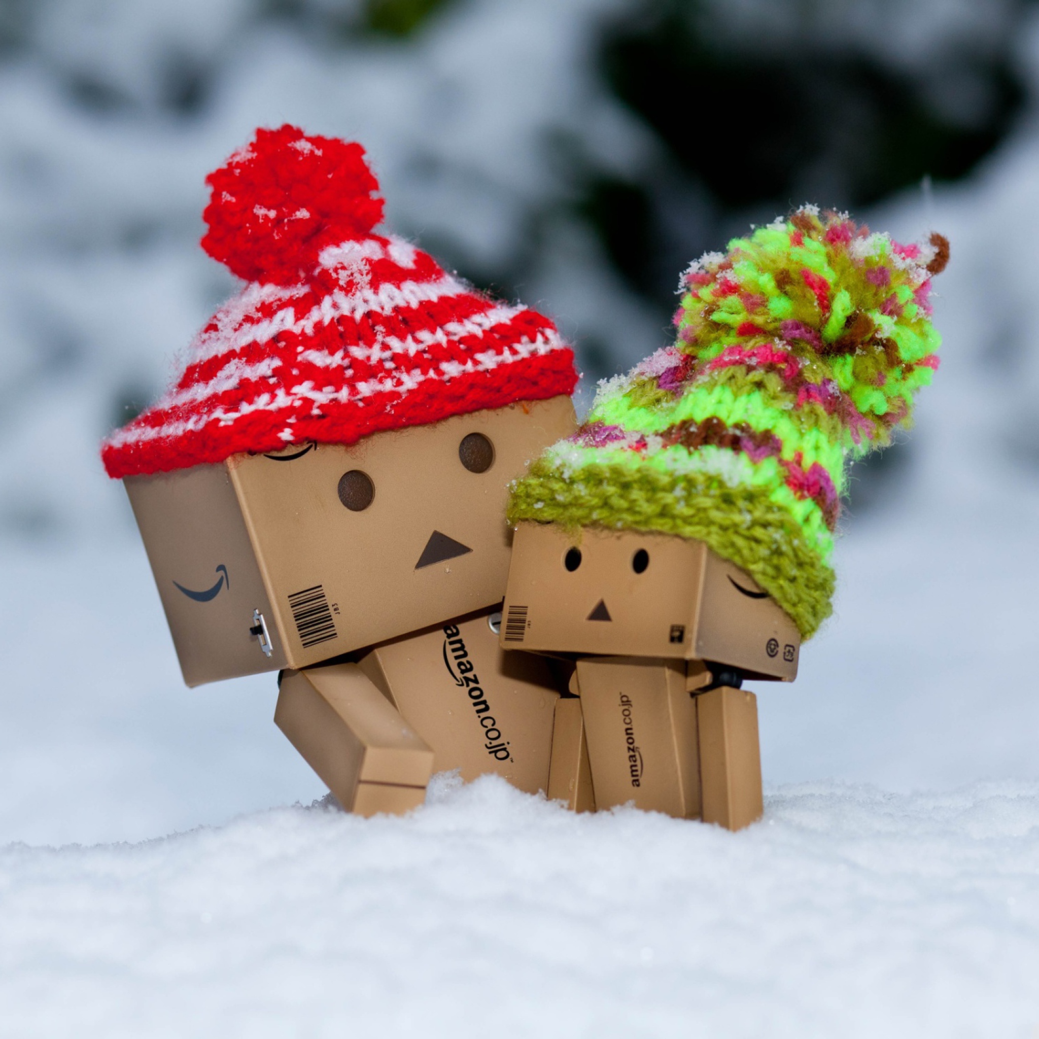Danbo Is Scared By So Much Snow wallpaper 2048x2048