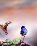 Screenshot №1 pro téma Blue Bird And Snake 128x160