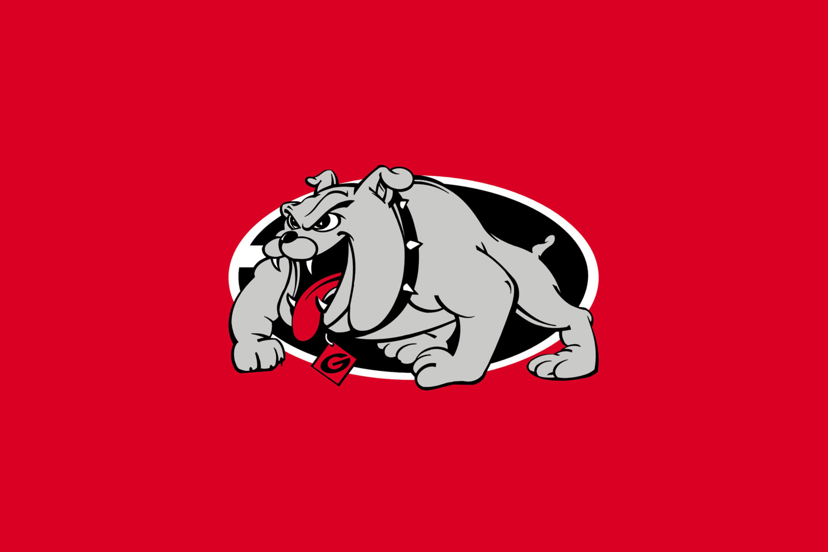 Обои Georgia Bulldogs University Team 2880x1920