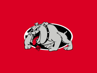 Fondo de pantalla Georgia Bulldogs University Team 320x240