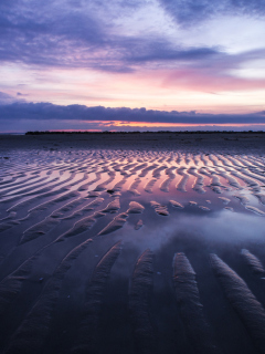 Screenshot №1 pro téma Sand Dunes And Pinky Sunset At Beach 240x320