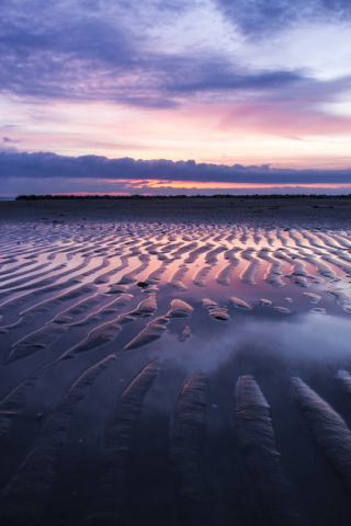 Das Sand Dunes And Pinky Sunset At Beach Wallpaper 320x480