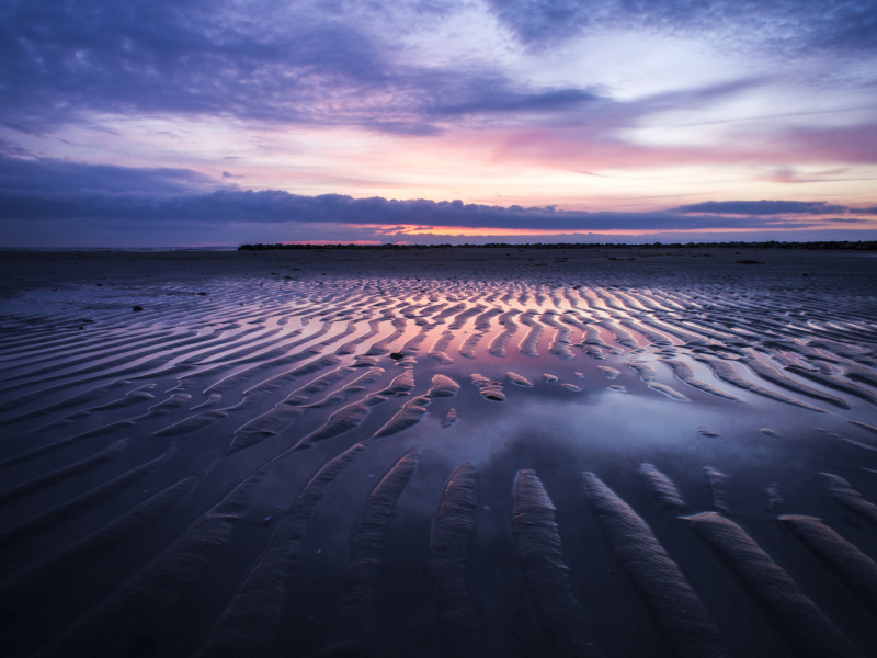 Sand Dunes And Pinky Sunset At Beach screenshot #1 800x600