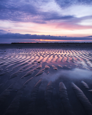 Sand Dunes And Pinky Sunset At Beach sfondi gratuiti per HTC Pure