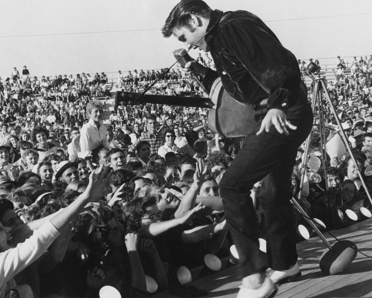 Das Elvis Presley At Concert Wallpaper 1280x1024