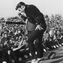 Screenshot №1 pro téma Elvis Presley At Concert 208x208