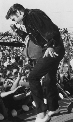 Elvis Presley At Concert wallpaper 240x400