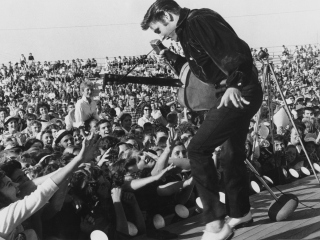 Das Elvis Presley At Concert Wallpaper 320x240