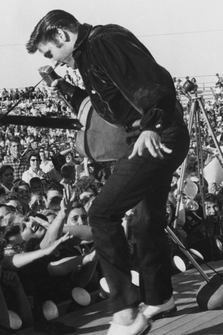 Das Elvis Presley At Concert Wallpaper 320x480
