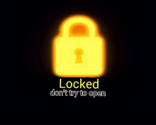 Locked - Don't Try To Open wallpaper 220x176
