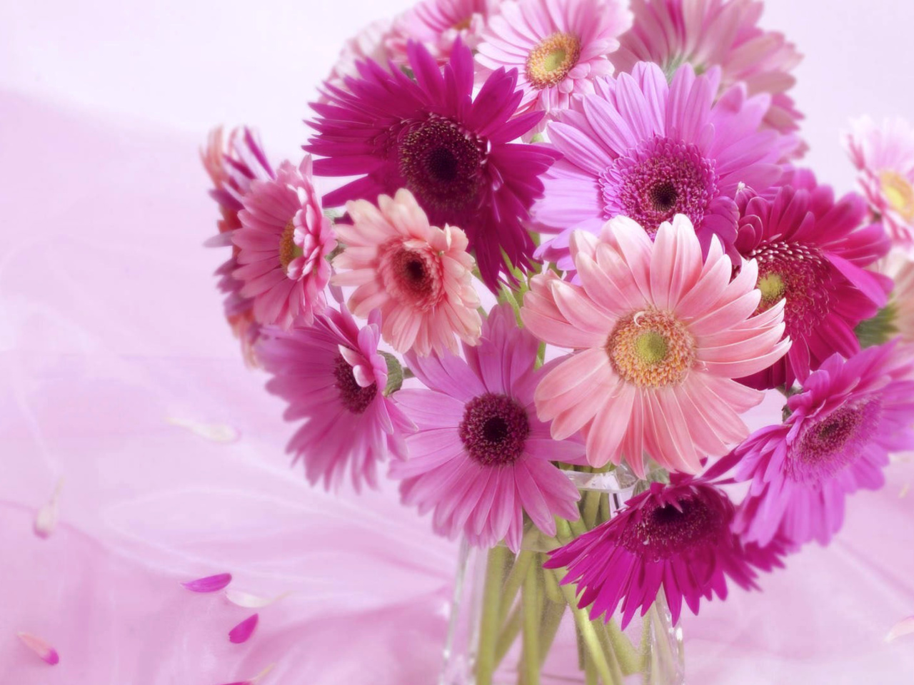 Обои Gerbera Bouquet Idea 1280x960