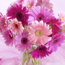 Screenshot №1 pro téma Gerbera Bouquet Idea 128x128