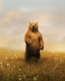 Das Bear On Meadow Wallpaper 128x160