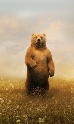 Das Bear On Meadow Wallpaper 240x400