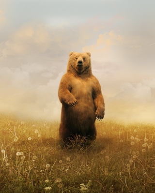 Bear On Meadow - Obrázkek zdarma pro iPhone 6