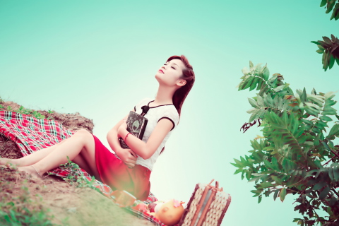 Das Asian Girl Enjoying Picnic Wallpaper 480x320