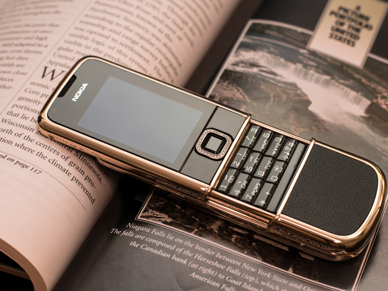 Nokia 8800 Gold Arte Rose screenshot #1 1280x960