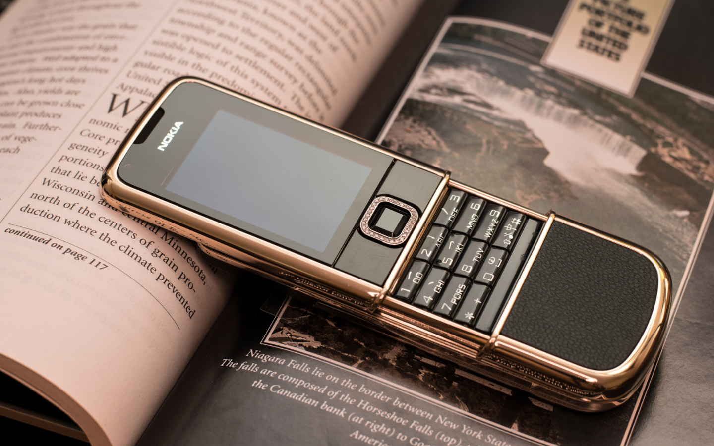 Обои Nokia 8800 Gold Arte Rose 1440x900