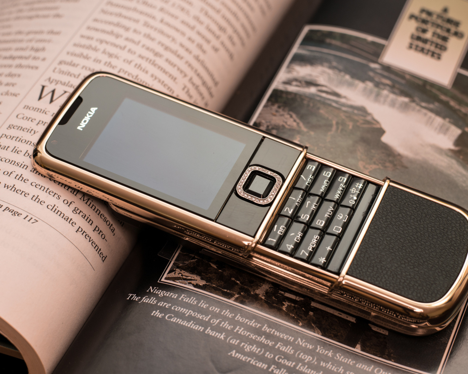 Nokia 8800 Gold Arte Rose screenshot #1 1600x1280