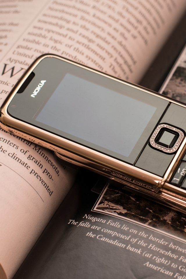 Nokia 8800 Gold Arte Rose screenshot #1 640x960