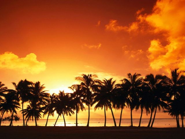 Summer Beach Sunset wallpaper 640x480