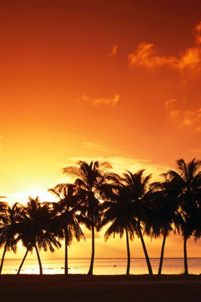 Summer Beach Sunset screenshot #1 640x960
