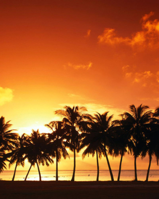 Summer Beach Sunset sfondi gratuiti per 320x480