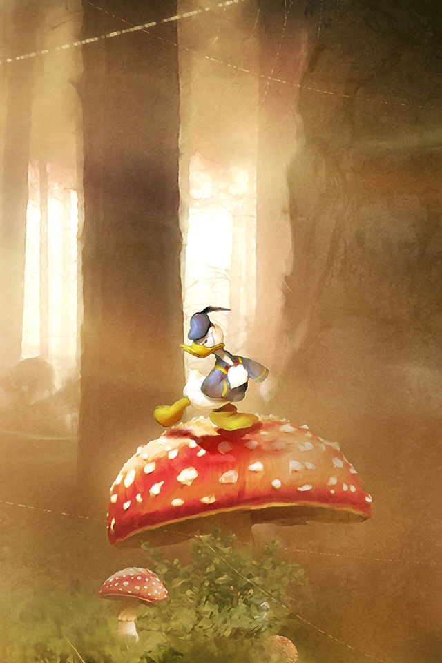 Das Mickey Mouse and Donald Duck Wallpaper 640x960