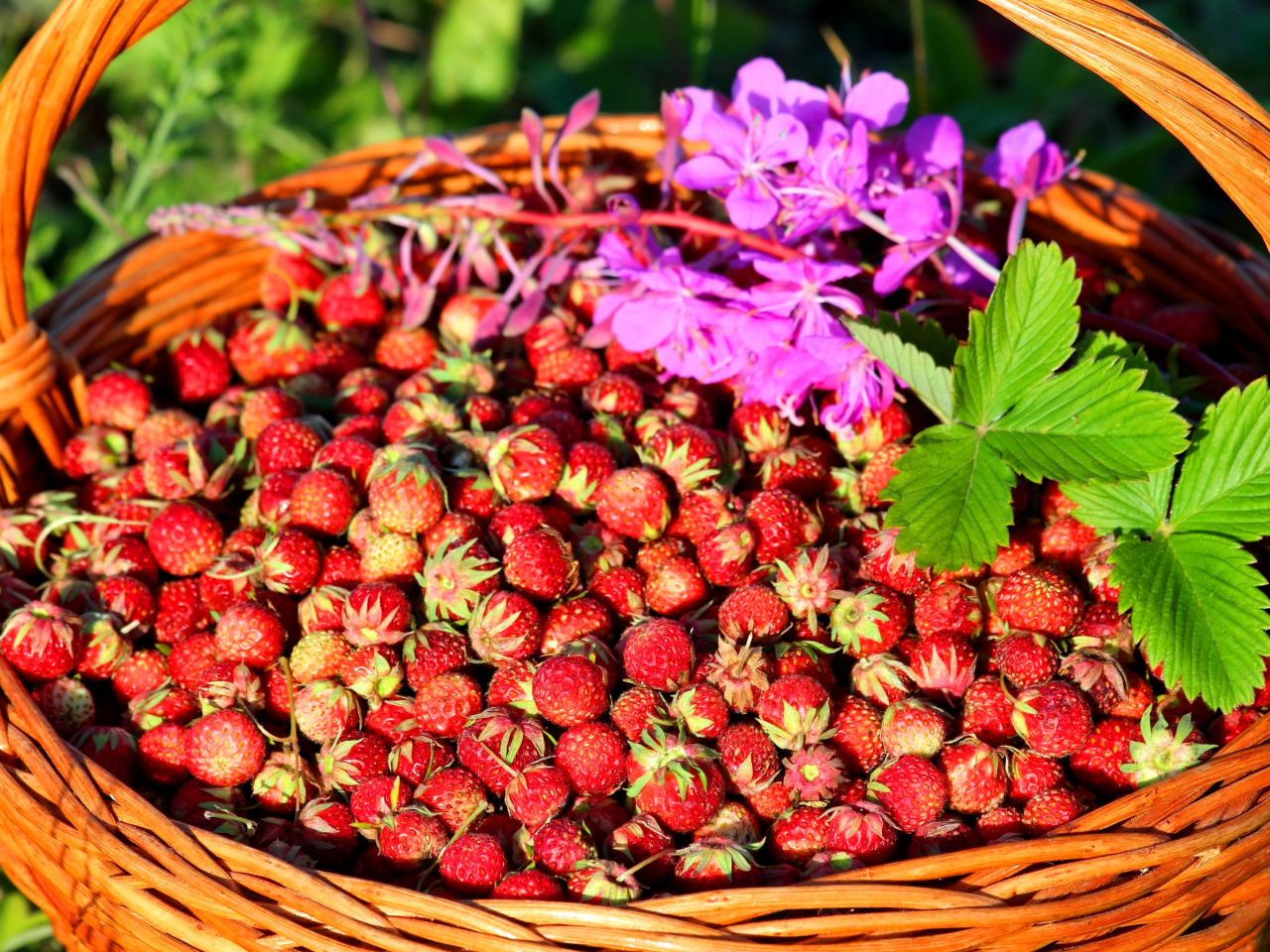 Wild Strawberry wallpaper 1280x960