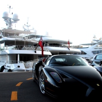 Обои Cars Monaco And Yachts 208x208