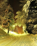 Cold Winter Night Forest wallpaper 128x160