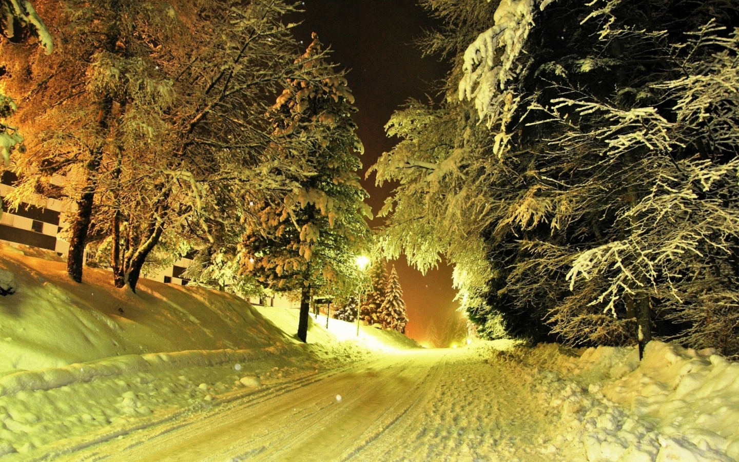 Screenshot №1 pro téma Cold Winter Night Forest 1440x900