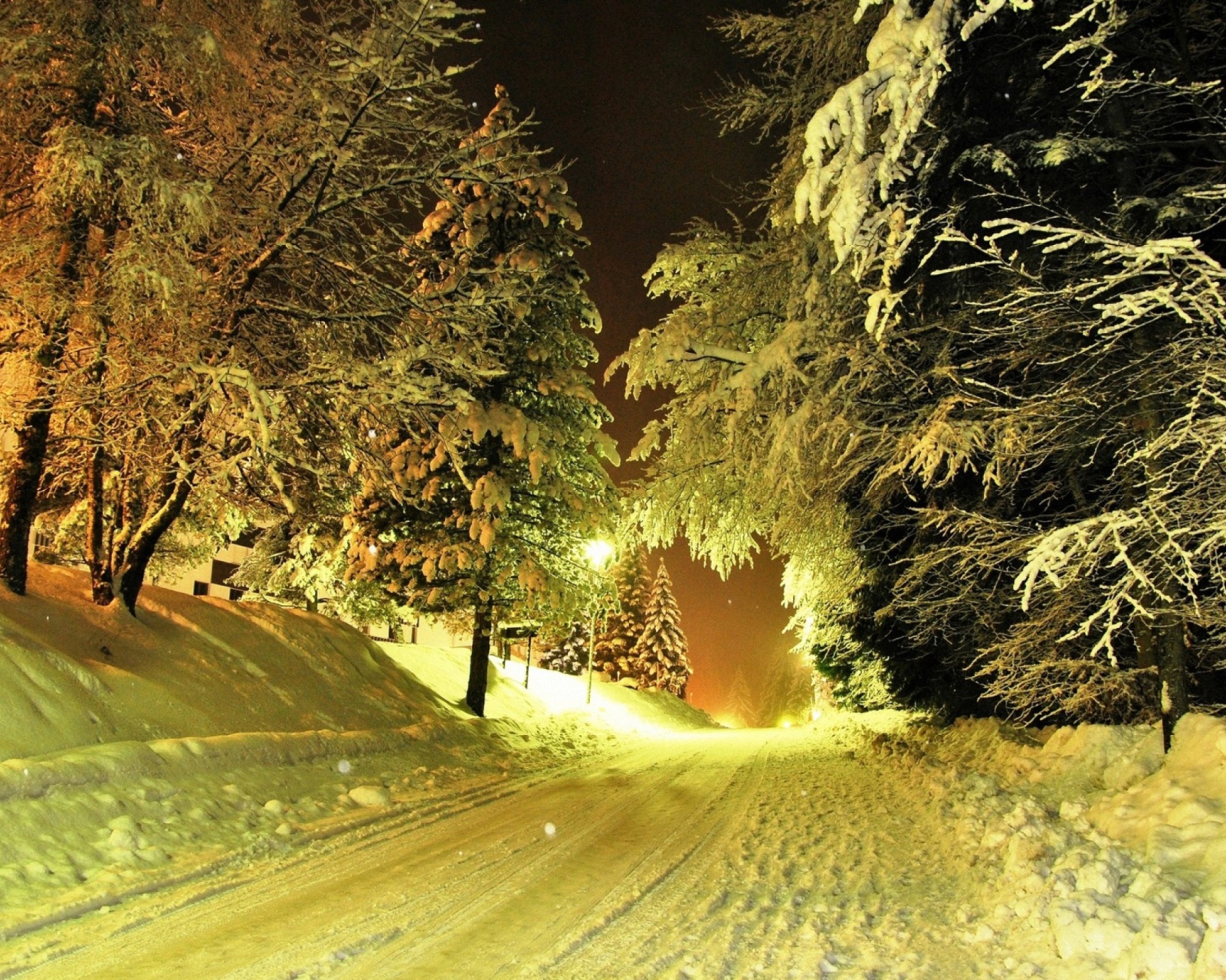 Fondo de pantalla Cold Winter Night Forest 1600x1280