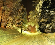 Обои Cold Winter Night Forest 176x144