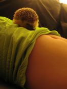 Fondo de pantalla Cute Hedgehog 132x176