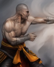 Обои Warrior Monk by Lucas Torquato de Resende 176x220