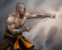 Warrior Monk by Lucas Torquato de Resende wallpaper 220x176