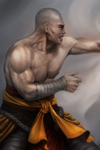 Warrior Monk by Lucas Torquato de Resende wallpaper 320x480