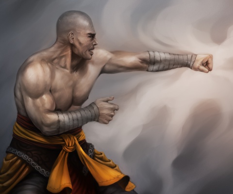 Sfondi Warrior Monk by Lucas Torquato de Resende 480x400