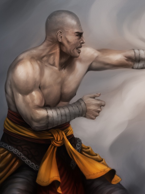 Das Warrior Monk by Lucas Torquato de Resende Wallpaper 480x640