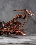 Обои Orange County Chopper 128x160