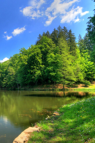 Das Green Valley HD Wallpaper 320x480